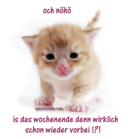 wochenstart-gbpic-2